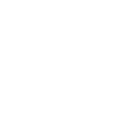 Ícone do CSS3.